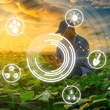 Agriculture technology concepts by the farmer using smartphone in mung bean garden with light shine sunset