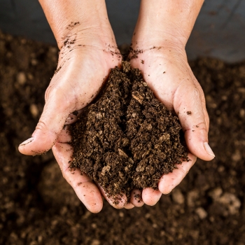 Close up hand holding soil peat moss