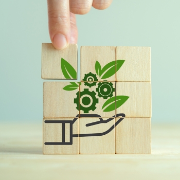 Sustainable development goals